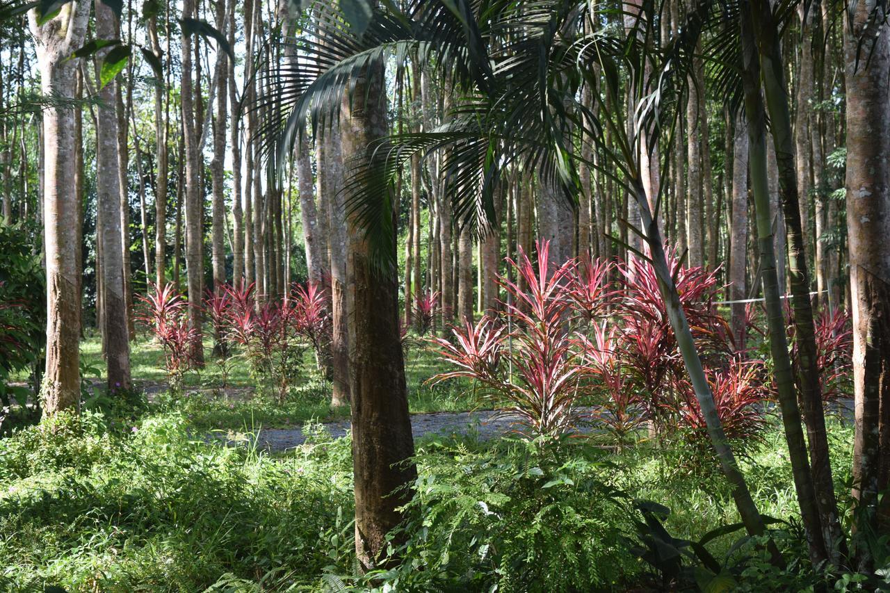Manora Garden Hotel Pangnga Kültér fotó
